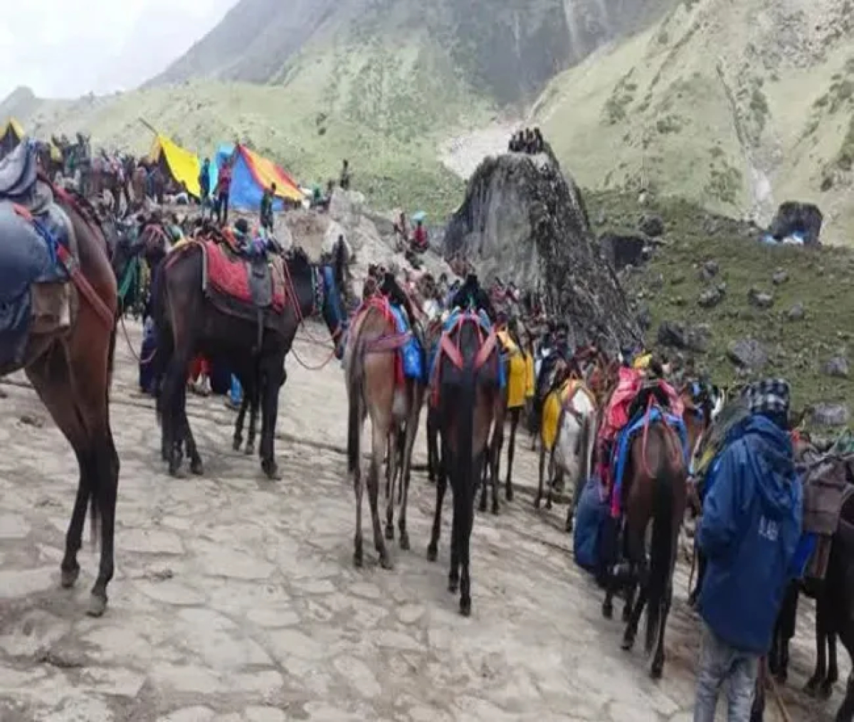 श्री केदारनाथ धाम यात्रा मार्ग पर घोड़े खच्चरों के संचालन पर रहेगी पैनी नजर