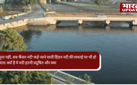यमुना नहीं, अब ‘कैंसर नदी’ कहे जाने वाली हिंडन नदी की सफाई पर भी हो सवाल: क्यों है ये नदी इतनी प्रदूषित और क्या है इसका समाधान?