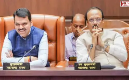 महाराष्ट्र में जन सुरक्षा बिल पास: माओवादियों पर नकेल कसने की तैयारी