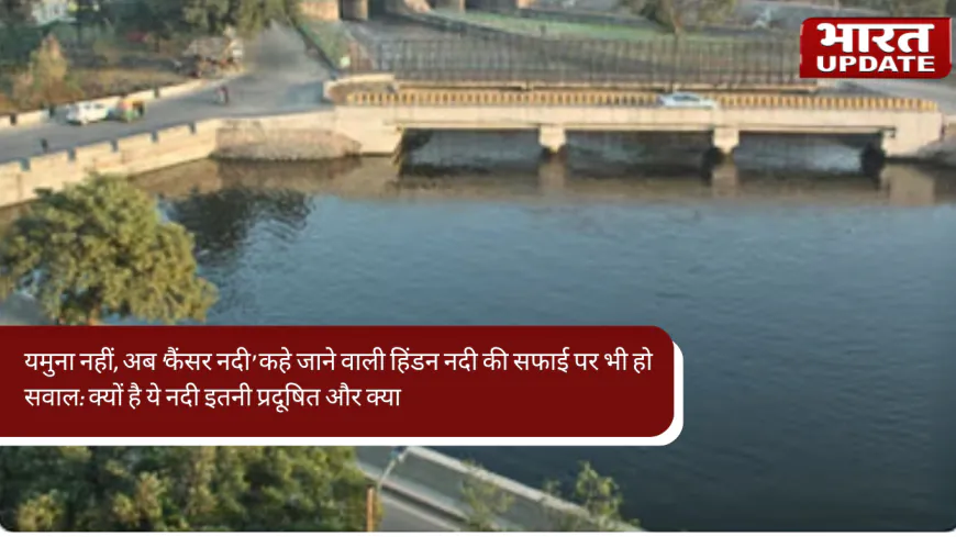 यमुना नहीं, अब ‘कैंसर नदी’ कहे जाने वाली हिंडन नदी की सफाई पर भी हो सवाल: क्यों है ये नदी इतनी प्रदूषित और क्या है इसका समाधान?